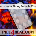 Anaconda Strong Formula Pills 16